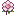 Sakura Petal